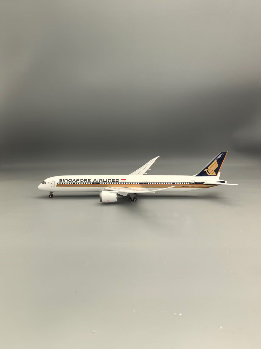 1:130 Scale Aircraft 43cm B787 - Model Kit Singapore recension och pris