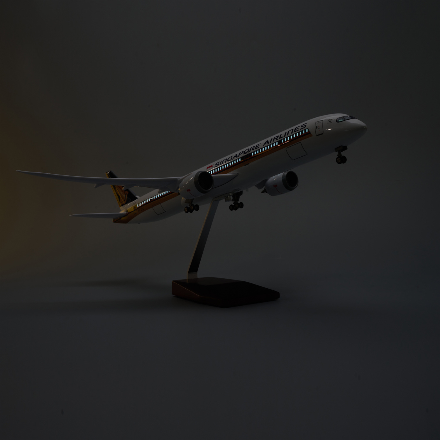 47cm Large Scale Singapore Air - Model Kit Singapore recension och pris